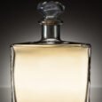 Liquor in a square bottle on a grey gradient background. side view.